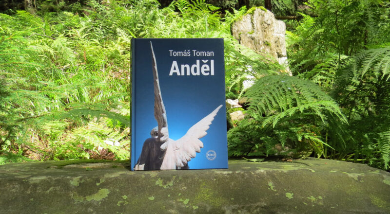 Tomáš Toman - Anděl